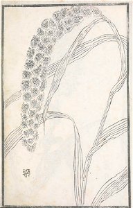 n58_w1150