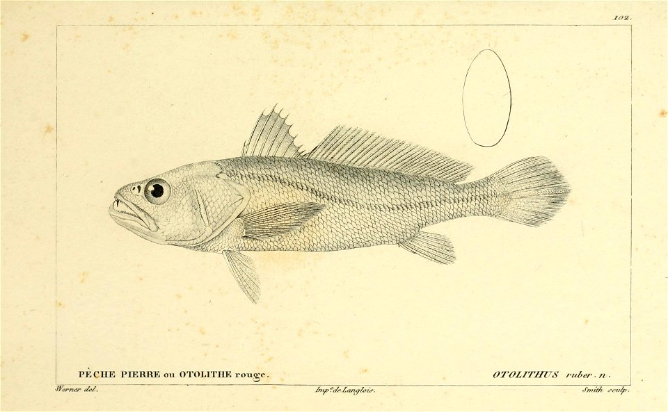 n184_w1150