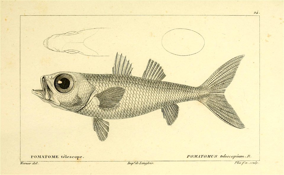 n34_w1150