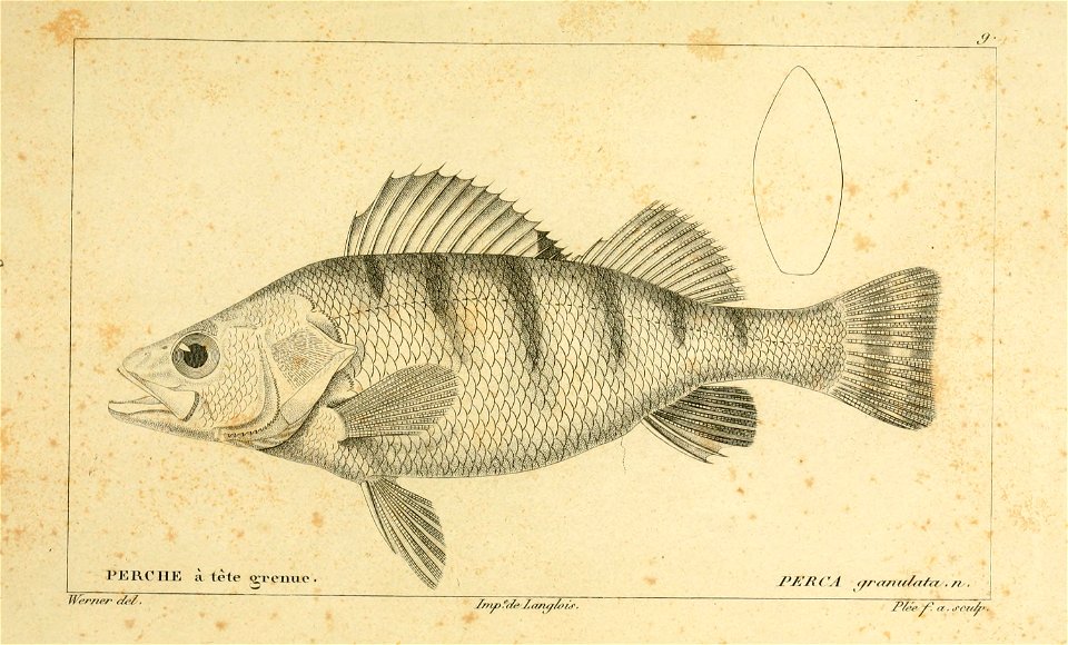n4_w1150