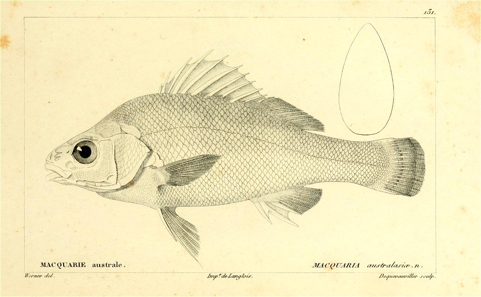 n242_w1150