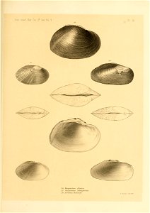 n510_w1150