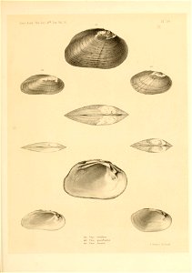 n378_w1150
