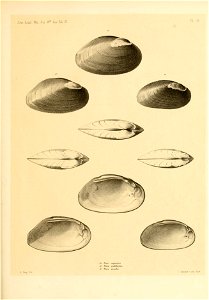 n166_w1150