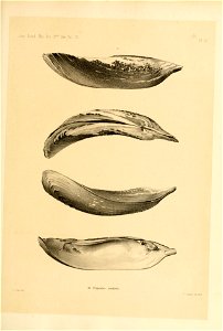 n68_w1150