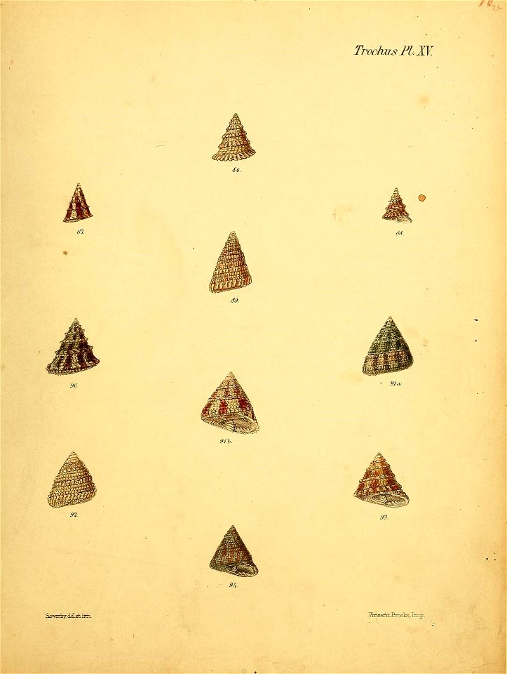 n558_w1150
