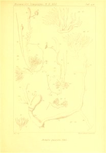 n316_w1150