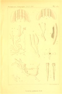 n522_w1150