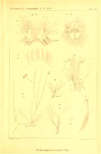 n506_w1150
