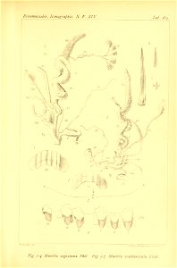 n472_w1150
