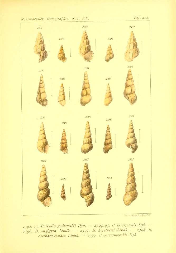 n136_w1150