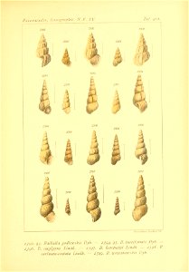 n136_w1150
