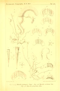 n468_w1150
