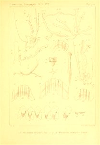 n306_w1150