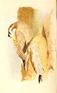 n111_w1150