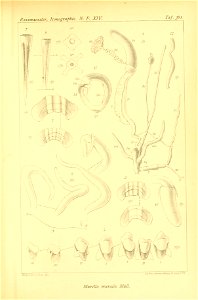 n466_w1150