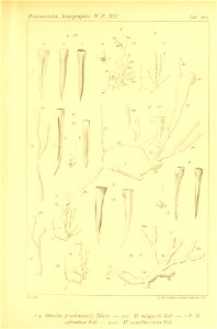 n488_w1150