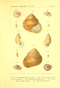 n128_w1150