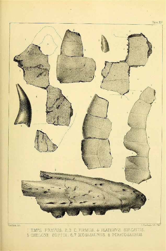 n558_w1150