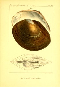 n602_w1150