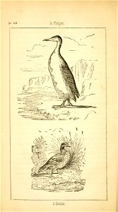 n185_w1150