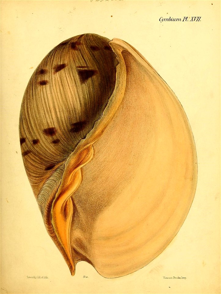 n160_w1150