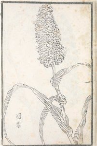 n59_w1150