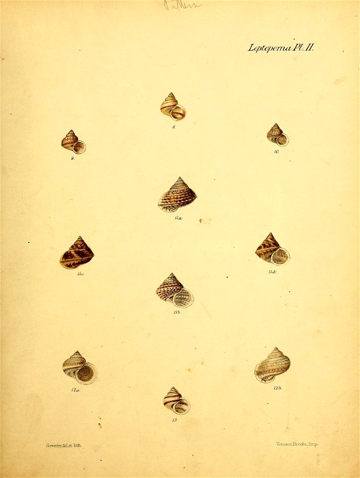 n388_w1150