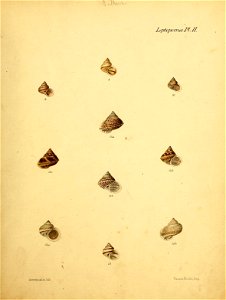 n388_w1150