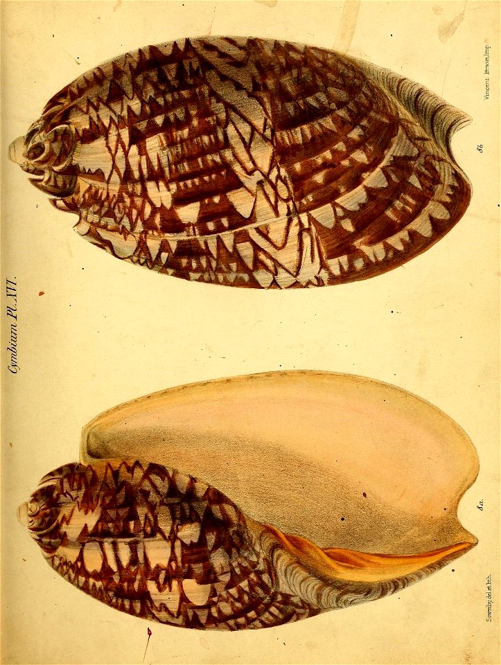 n156_w1150