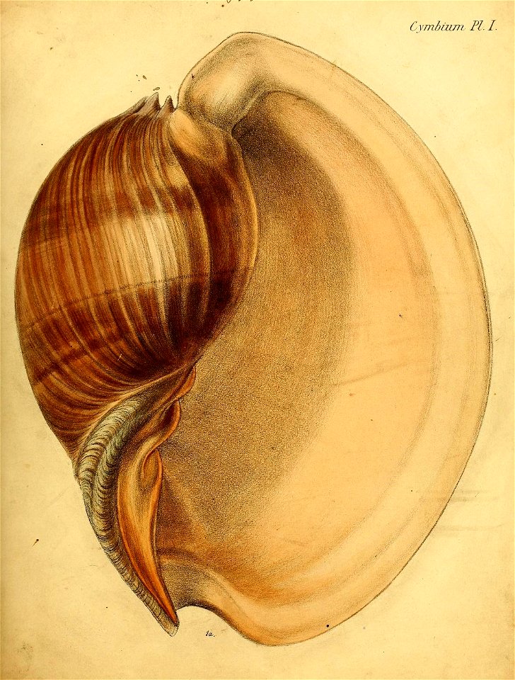 n96_w1150