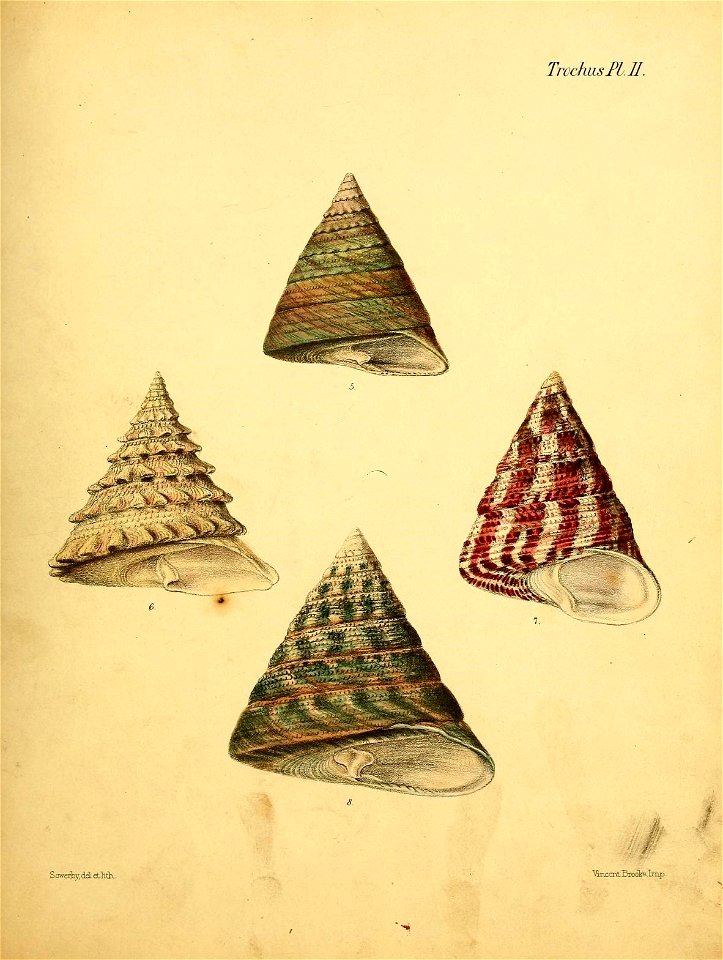 n506_w1150