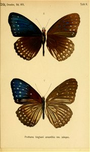 n428_w1150