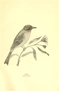 n60_w1150