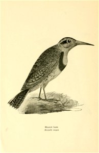 n45_w1150