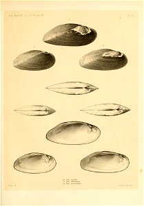 n168_w1150