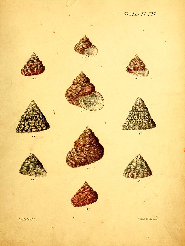n562_w1150