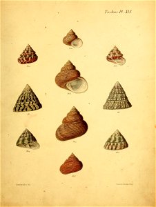 n562_w1150