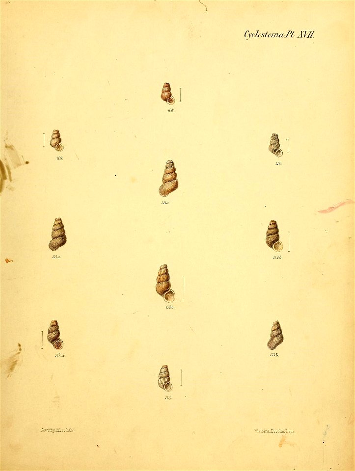 n268_w1150