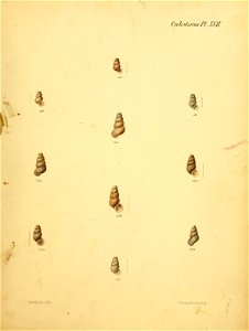 n268_w1150