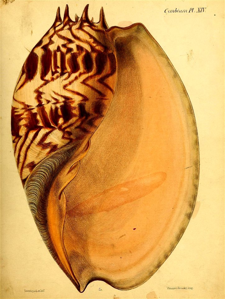 n148_w1150