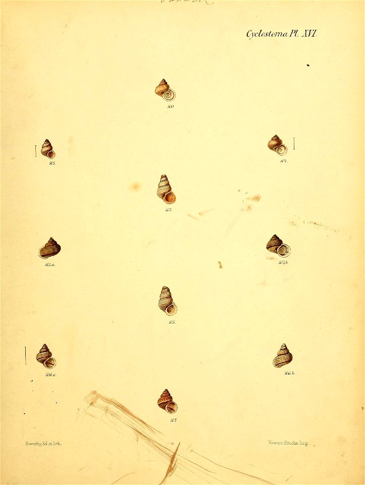 n264_w1150