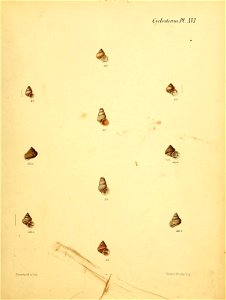 n264_w1150