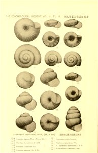 n859_w1150