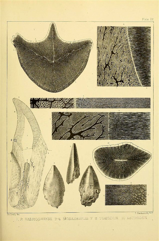 n560_w1150