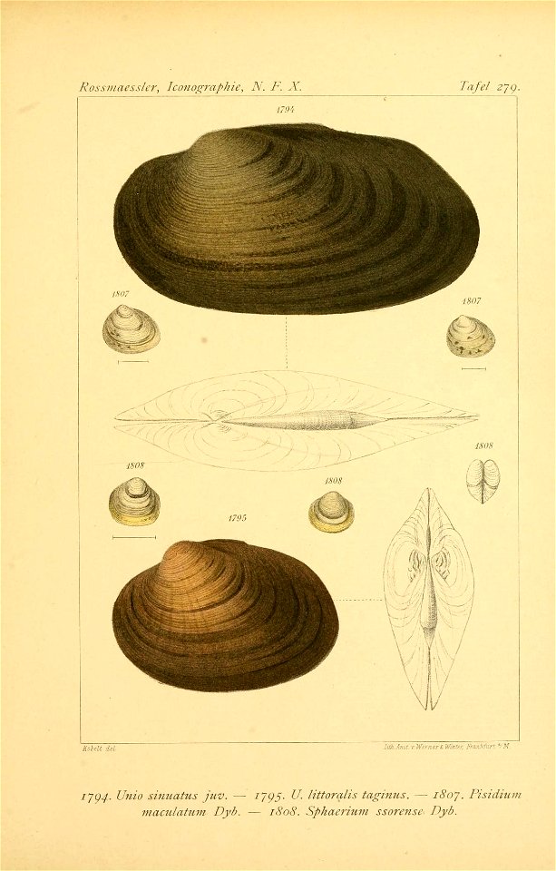 n106_w1150
