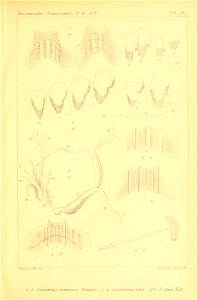 n514_w1150