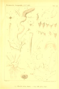 n500_w1150