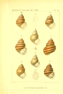 n236_w1150