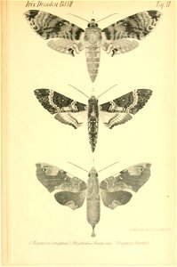 n404_w1150
